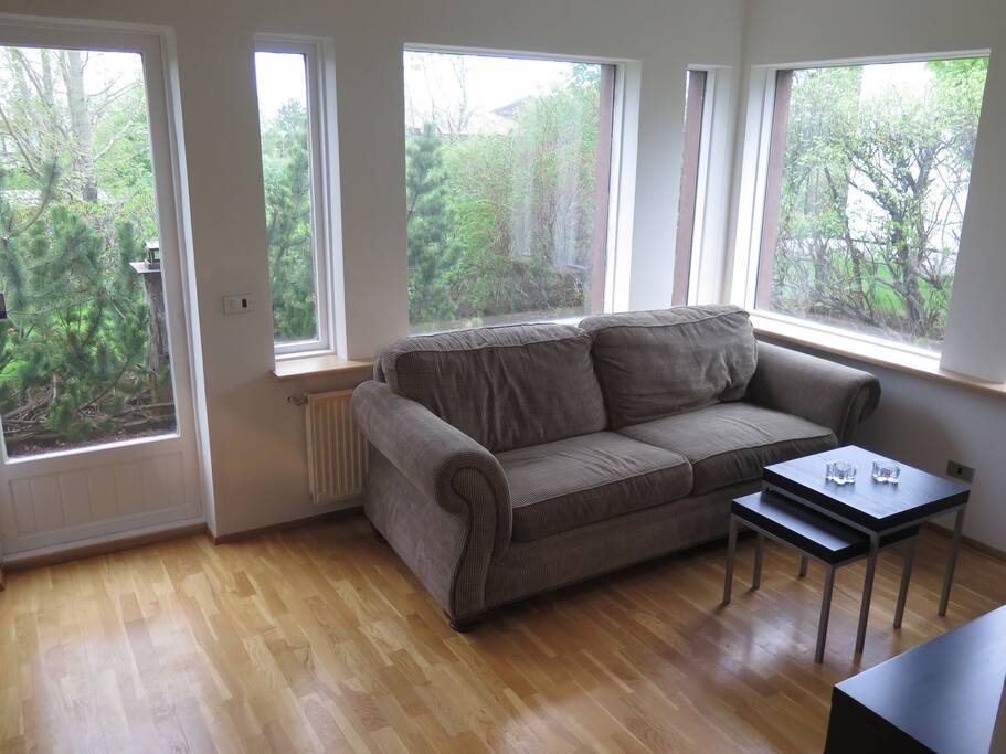 Cozy living room with a great sofa bed.