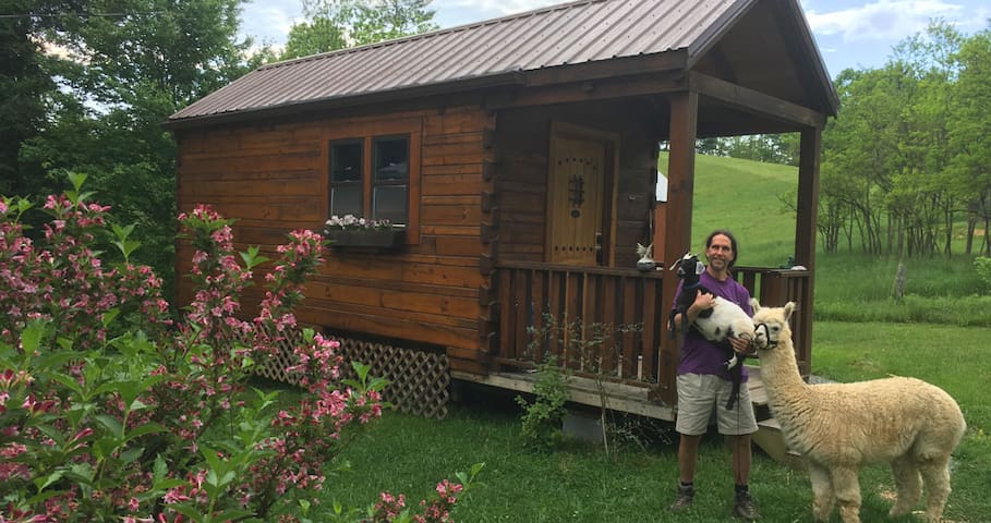 Log Cabin Tiny House!