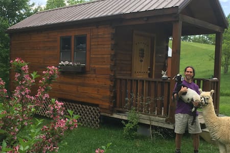 Log Cabin Tiny House!
