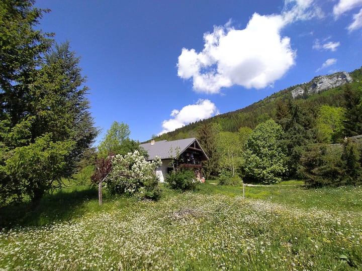 Vercors Nature Blue Room