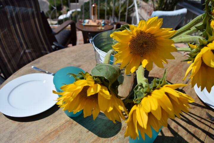 pacific sunset dream house gallery image 4