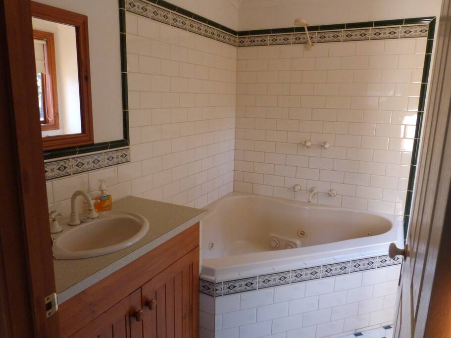 Bathroom with shower and spa bath