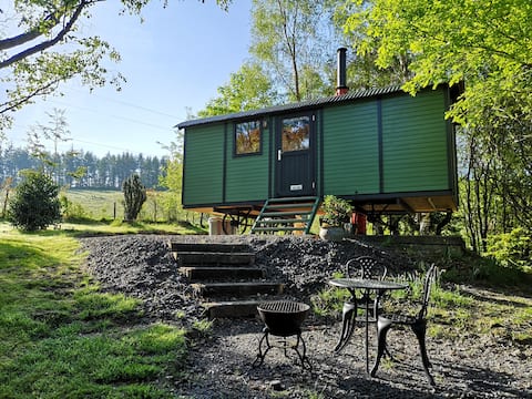 Alpaca Cabana, nature, peace & Alpacas, Mid Wales