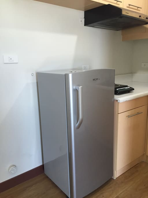 Refrigerator, Induction Stove with range hood