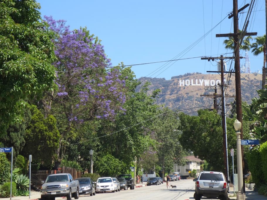 Hollywood Sign neighborhood view