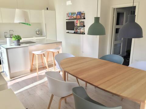 Spacious home near Copenhagen