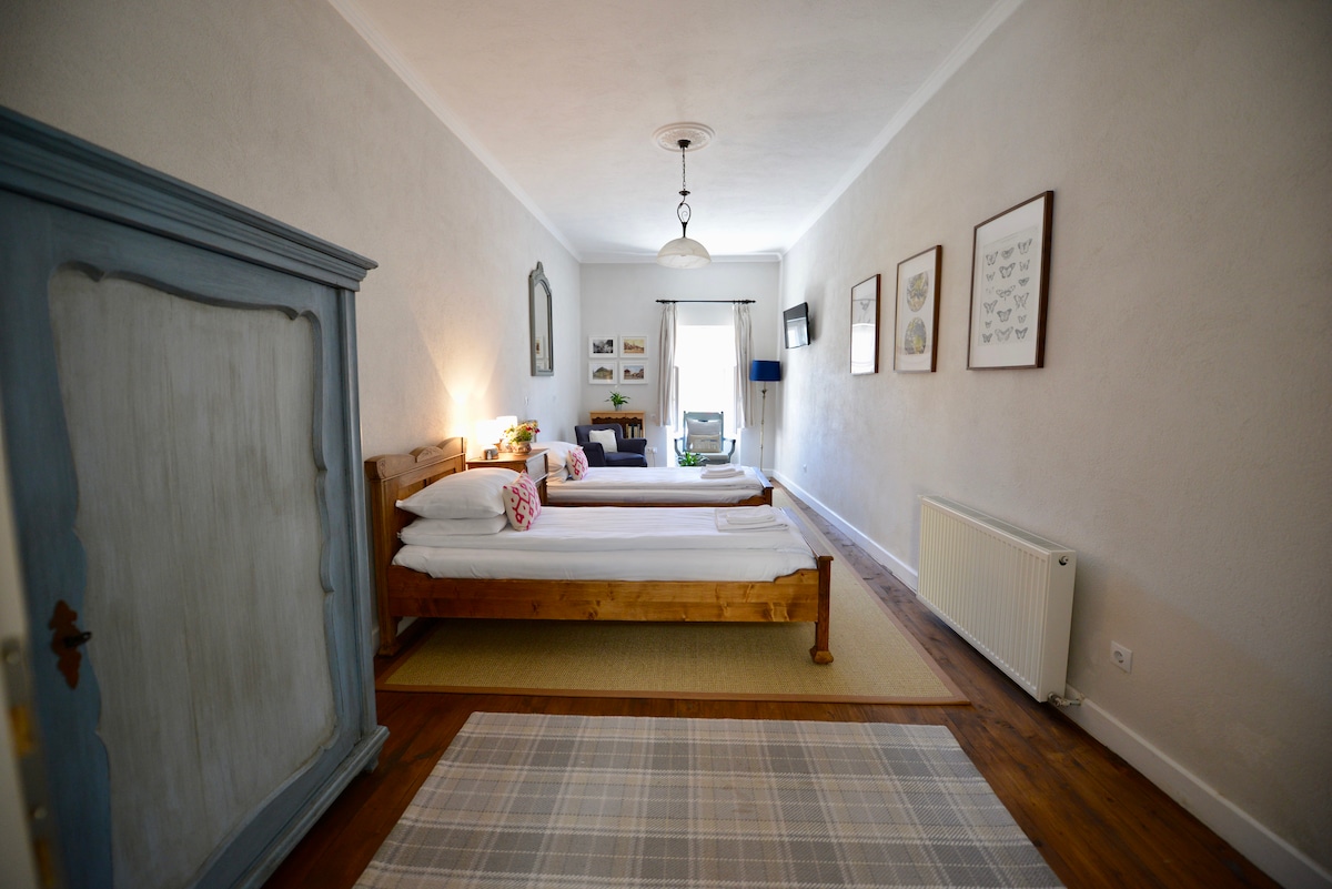The bedroom features two single beds with white linens and cozy pillows, arranged along a wall. A decorative wardrobe in soft blue is placed beside a window, with soft natural light illuminating the space. A comfy rug covers the wooden floor, enhancing the welcoming ambiance.