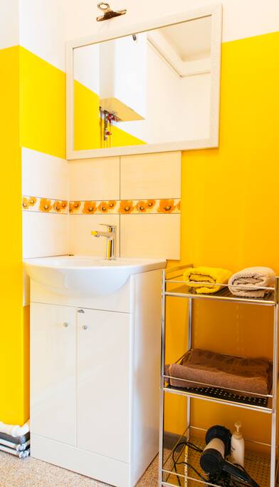 shower with sink and wc