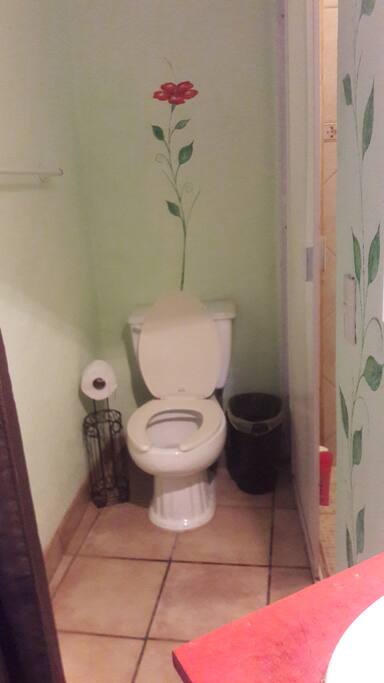 SHOWER AND TOILET