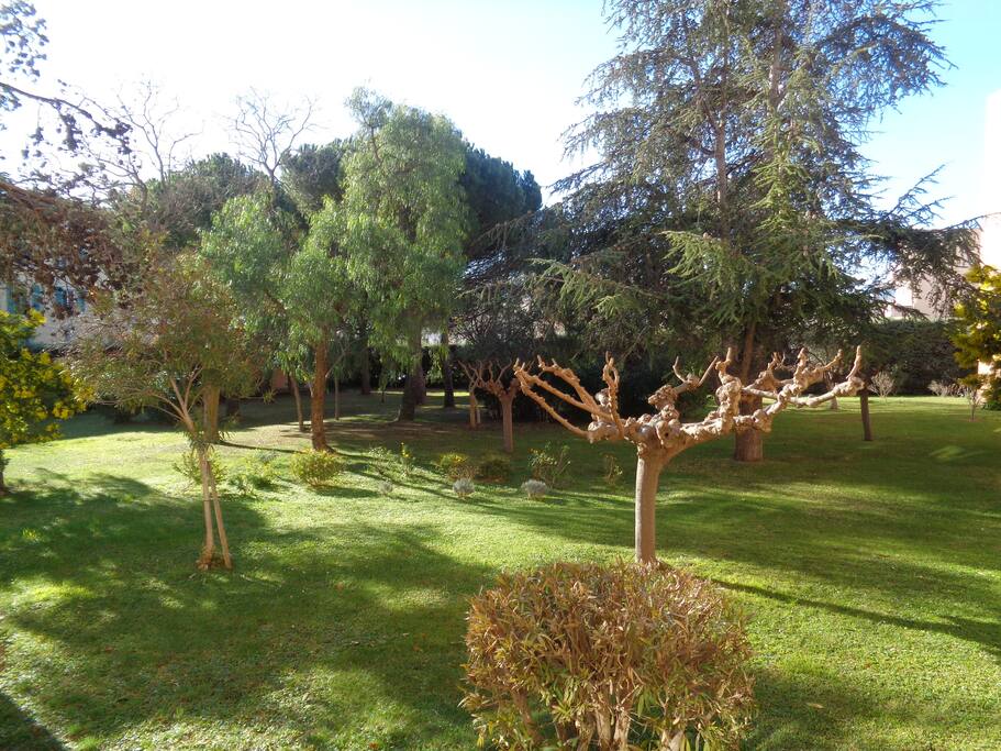 Jardin privé calme exposition plein sud.