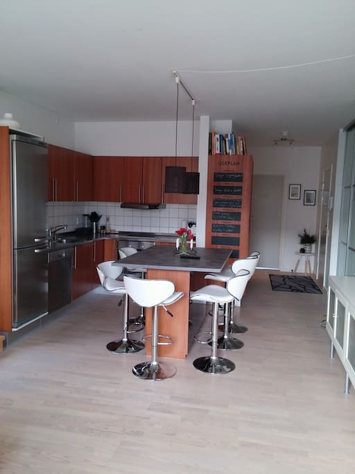 Living room/Kitchen
