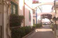 A charming pathway features smooth stone paving, flanked by buildings adorned with climbing plants. Arched structures overhead provide shade, while colorful accents from nearby flora add to the scenic view. The path leads towards a glimpse of the waterfront, enhancing the tranquil atmosphere.