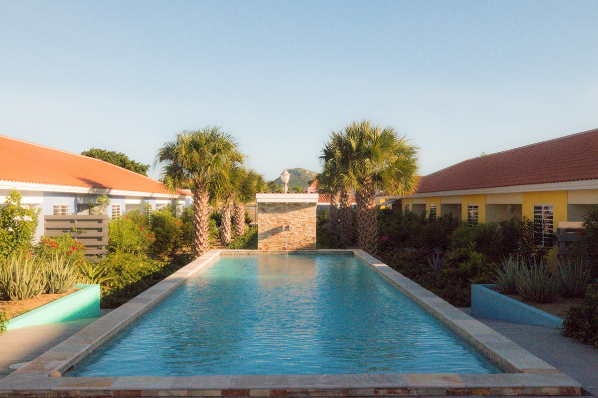 A tranquil outdoor pool is framed by palm trees and lush garden landscaping, promoting a serene atmosphere. The pool features a modern design with a stone wall at one end, and brightly colored wall sections can be seen along the edges of the surrounding garden.