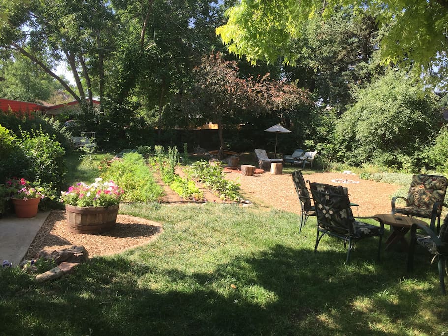 Back yard with organic vegetable garden