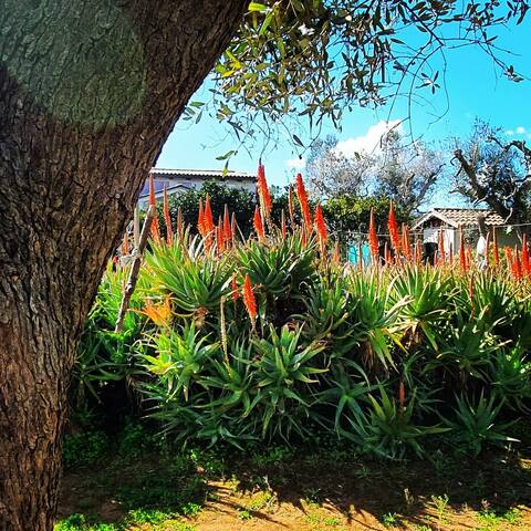 Villa LE RADICI and JACUZZI gallery image 3