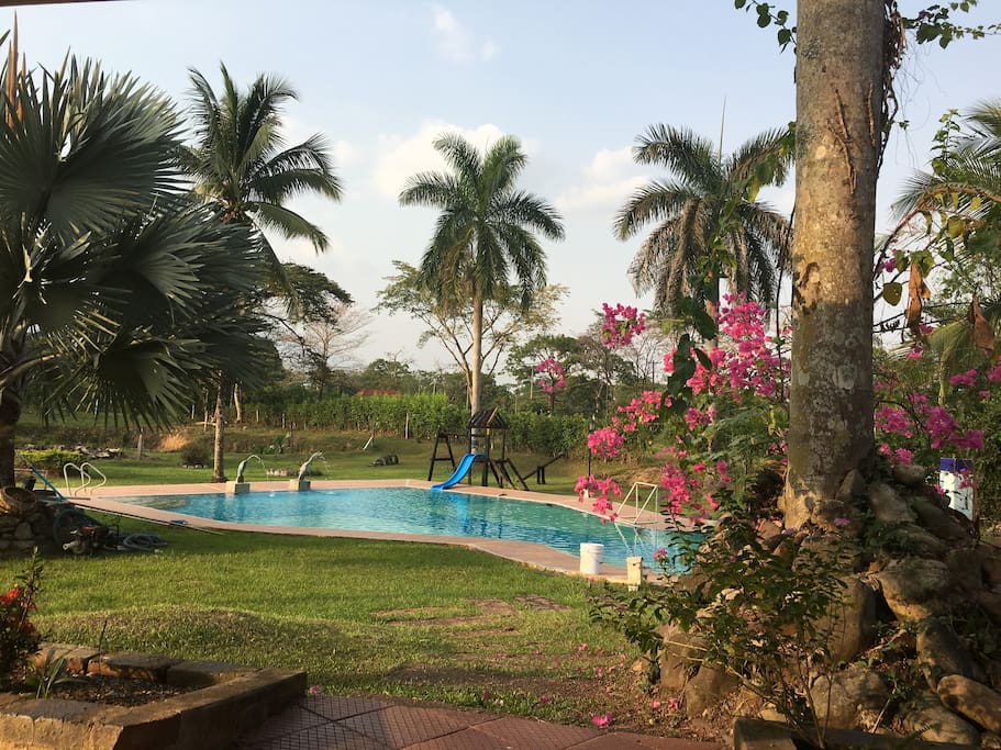 Piscina desde el Kiosko