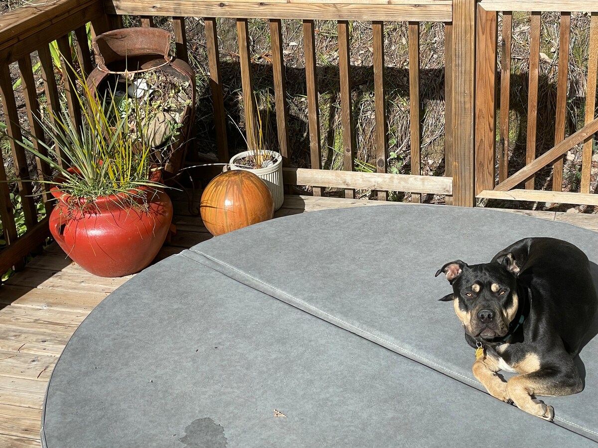 A spacious deck area is shown, featuring a circular hot tub surrounded by wooden railings. A dog is resting on the deck, with potted plants and decorative items adjacent to the hot tub, creating a cozy outdoor space.