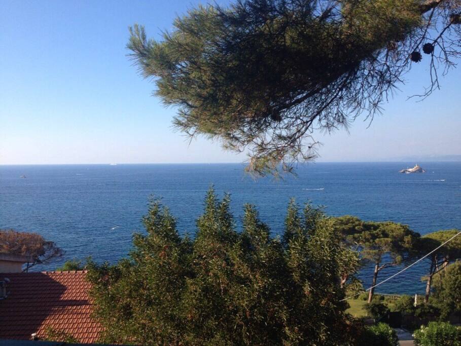 Il mare da casa