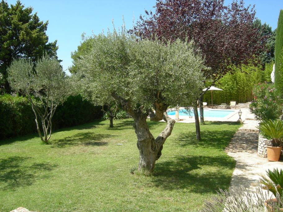 Situé au calme dans un jardin paysagé exposé plein sud