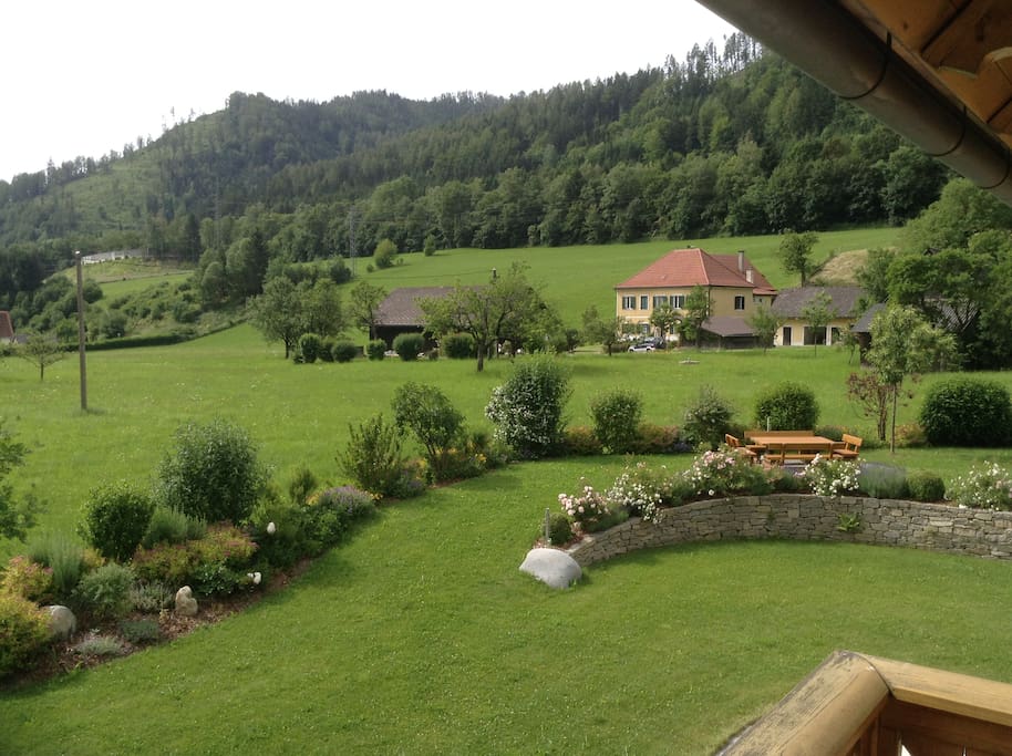 Blick vom Apartment in den Garten und zum Nachbarn