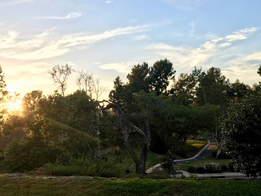Beautiful sunsets and strolling paths