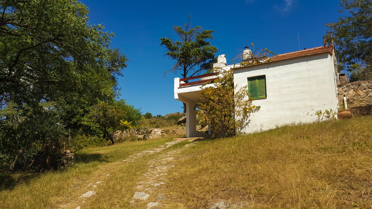 A charming white house is positioned on a grassy hill, surrounded by lush greenery. The structure features a balcony with green shutters. A stone pathway leads to the entrance, emphasizing the natural beauty of the outdoor environment.