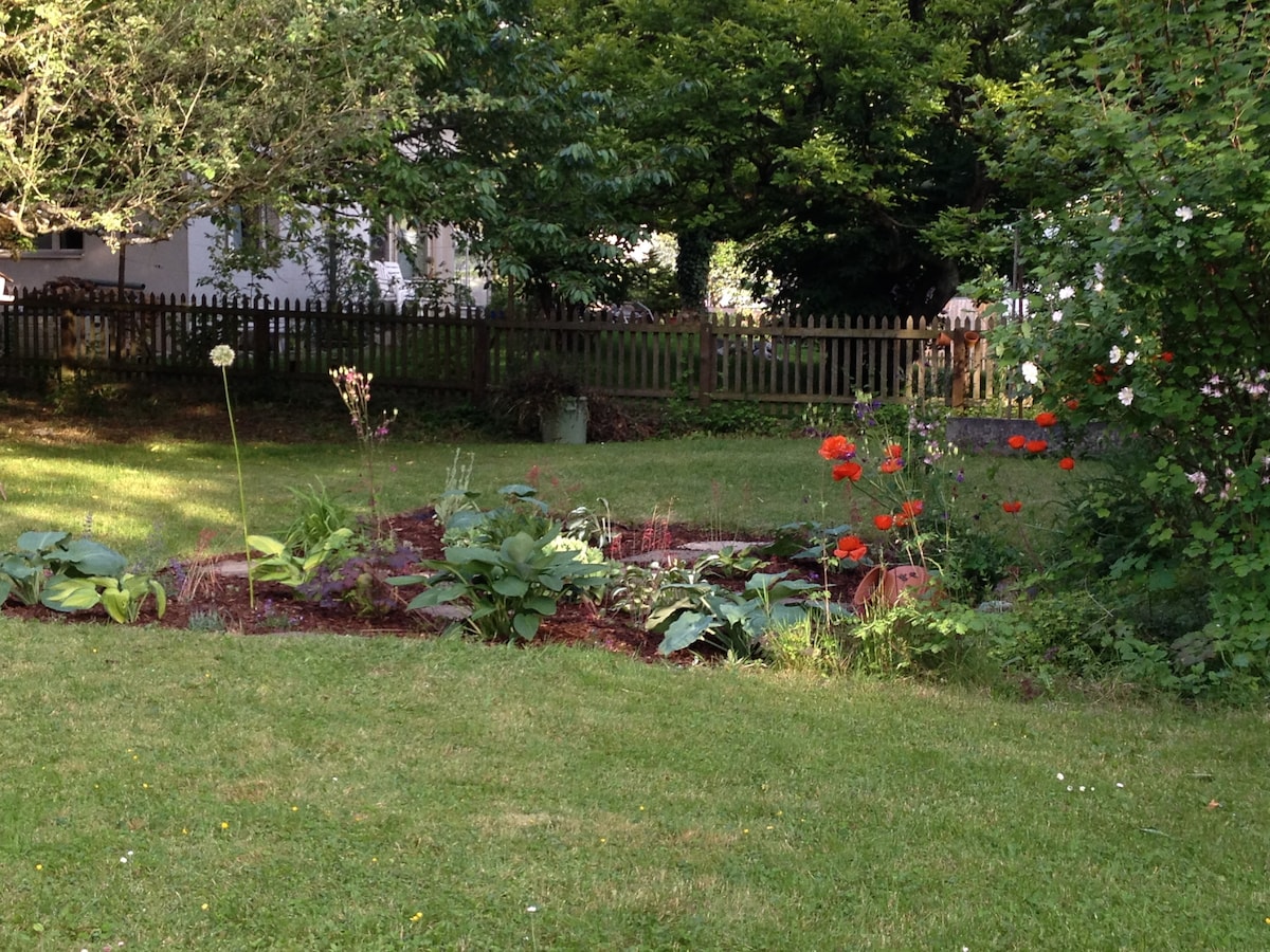 A lush garden area is showcased, featuring a variety of plants and flowers. Green grass covers the ground, with patches of colorful blooms including poppies and other plants. A wooden fence is seen in the background, surrounded by mature trees, creating a serene outdoor space.