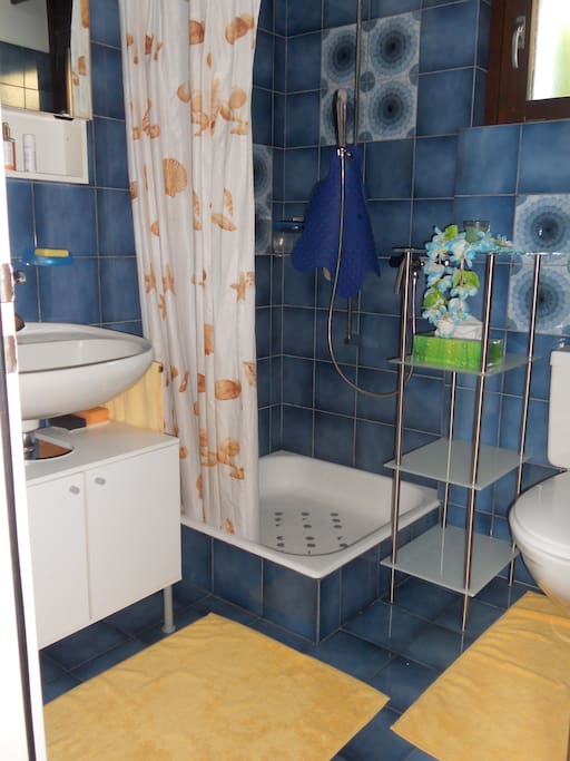 The bathroom