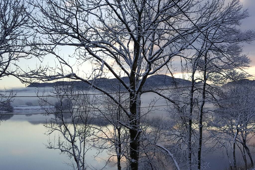 Vinter pictures