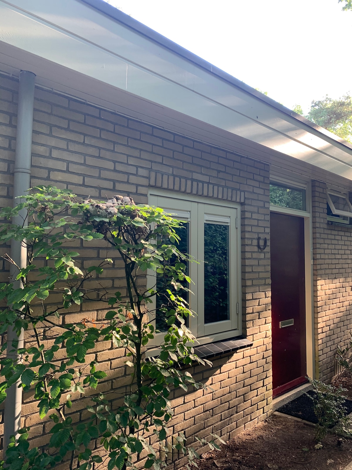 Successful Airbnb property: Woolly Highlander: comfort in nature! #Otterlo in Eschoter Veld