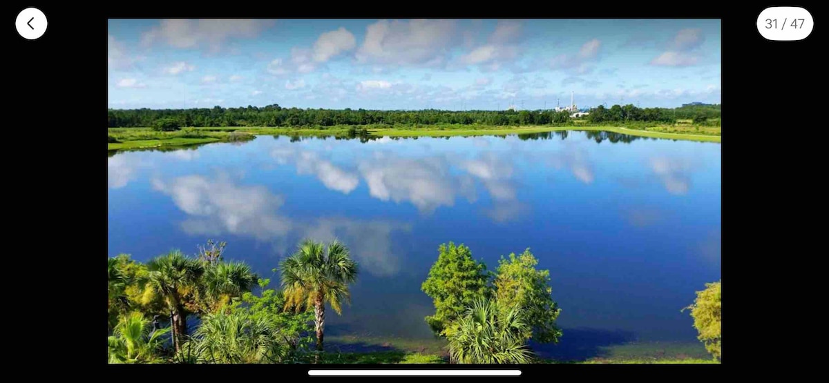 A serene landscape features a calm lake reflecting a clear blue sky dotted with fluffy clouds. Lush greenery is visible along the shoreline, including palm trees and other foliage, creating a tranquil atmosphere.