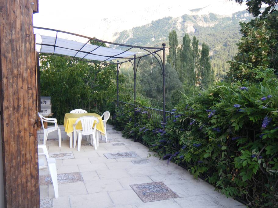 Terrasse et glycine