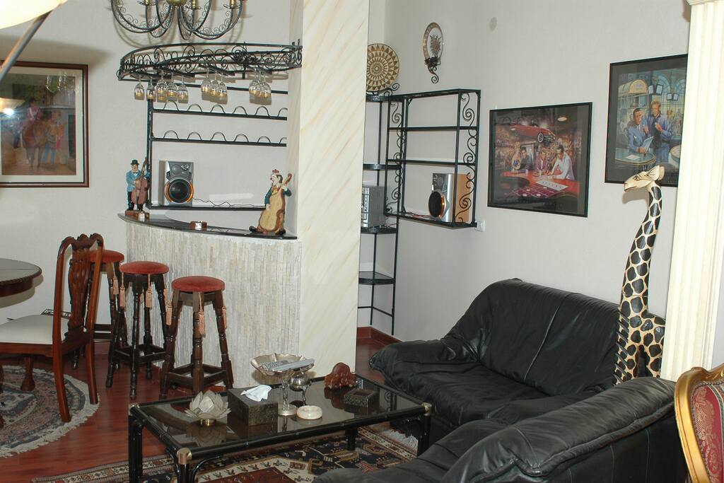 salon view 2