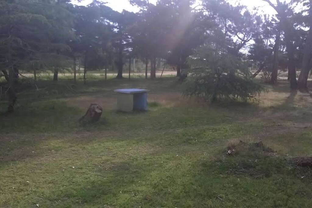 Se puede apreciar el terreno de la casa , arbolado y cercado.
