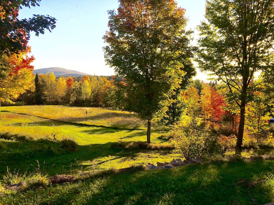 Autumn view from your room.