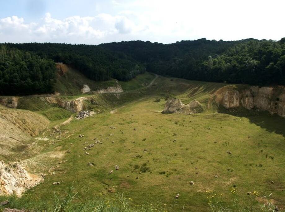 Environment