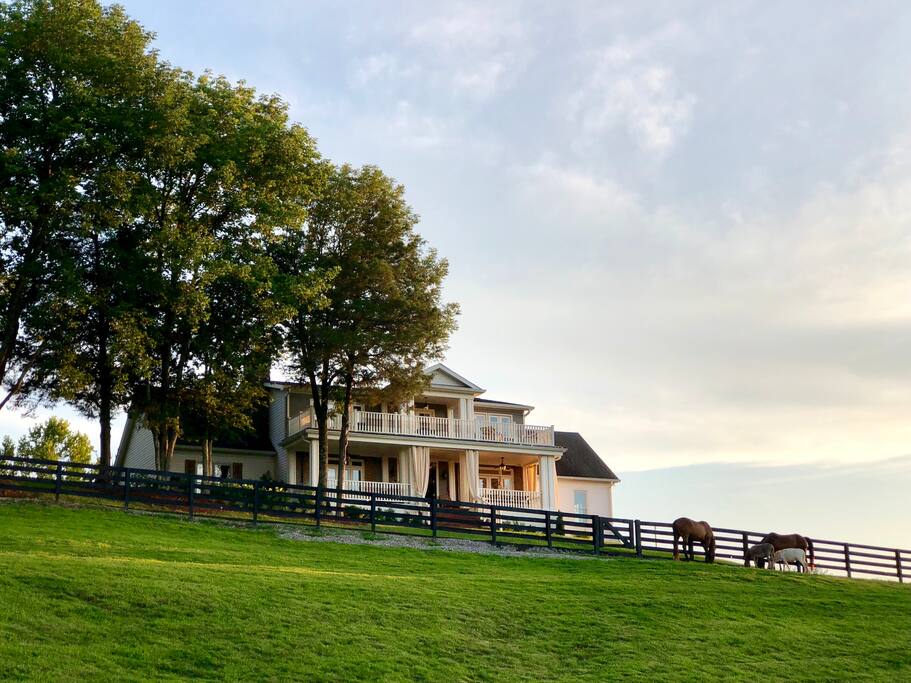 View of A&E Farm from pasture