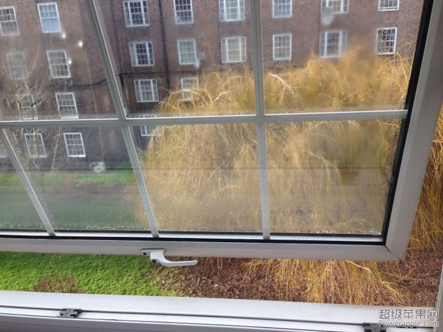 Look out of the window from the room
