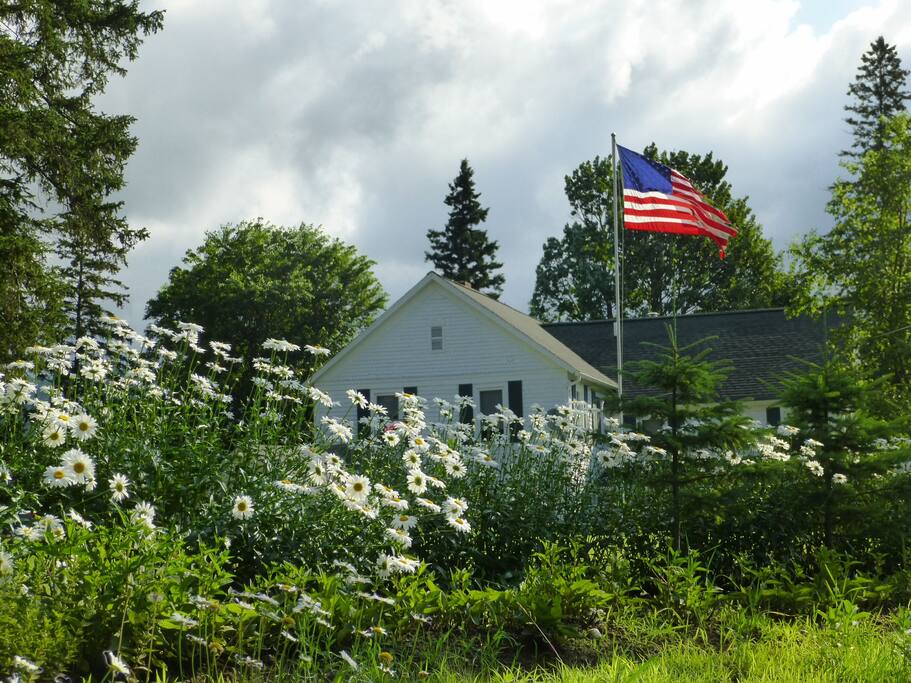 Summer at The Alpine Homestead