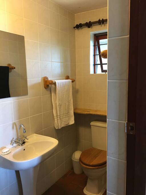 Bathroom / shower