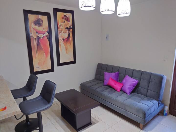 Departamento en Barrio de Analco Tiny houses for Rent in Durango, Durango, Mexico Airbnb