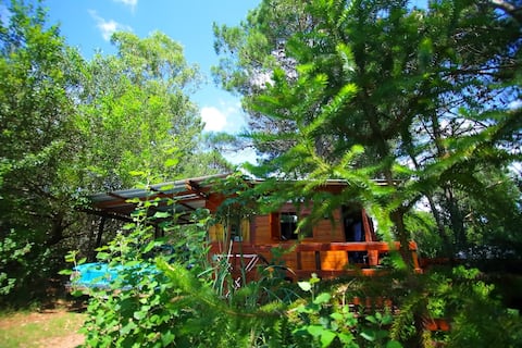 Airbnb con mejor rendimiento: Small and rustic cabin with a "Tiny House" concept en Mar Azul