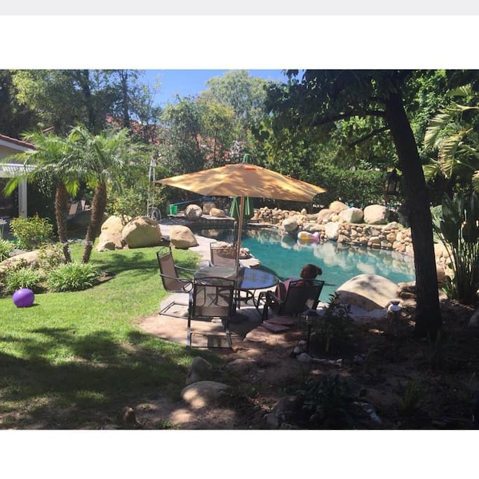 Pool/ backyard