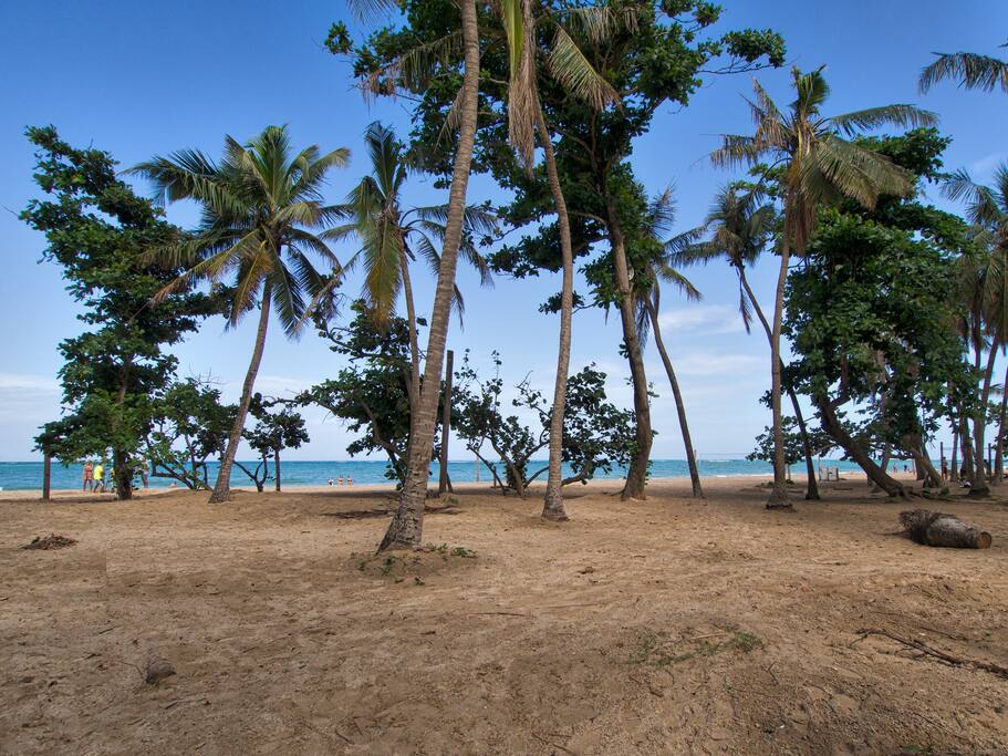 Beach Across Street