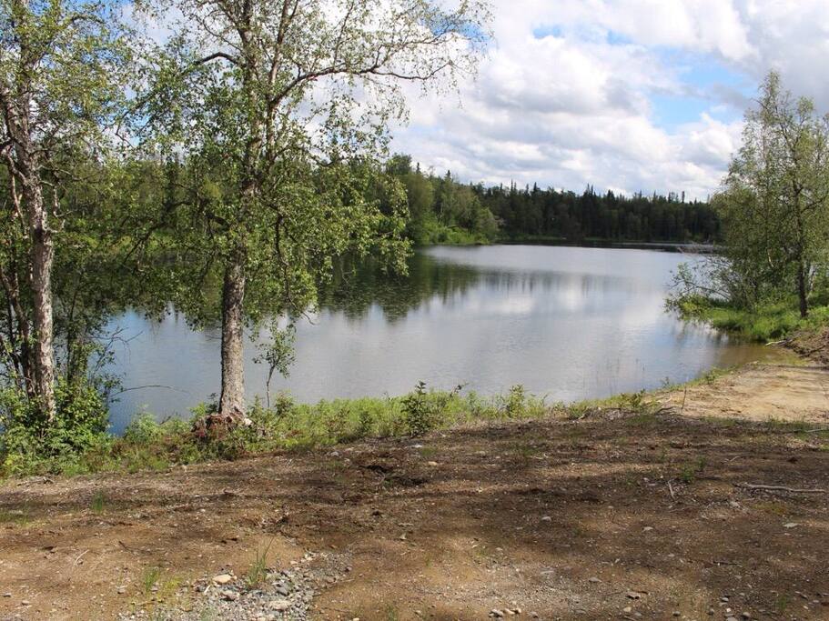 Lake View- Summer