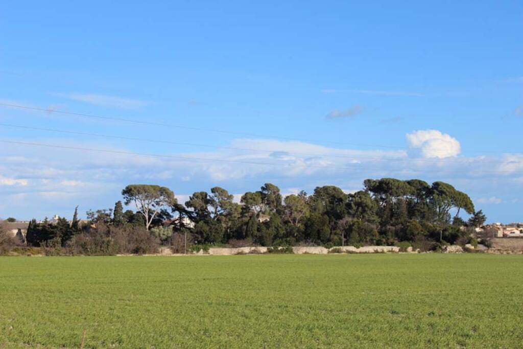 Vue extérieur du domaine