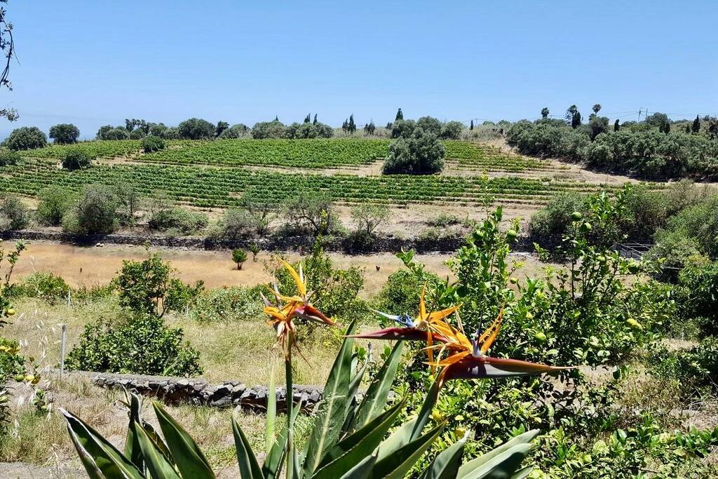Vistas finca