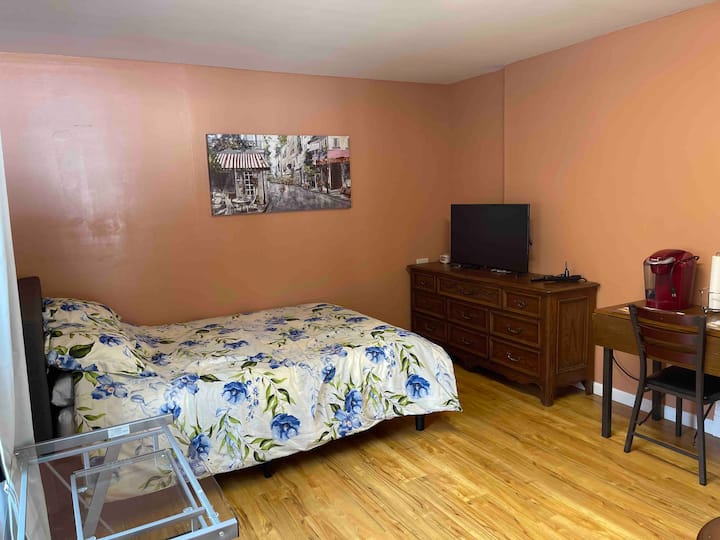 Adorable studio 1 queen size bed Guest suites for Rent in Mastic