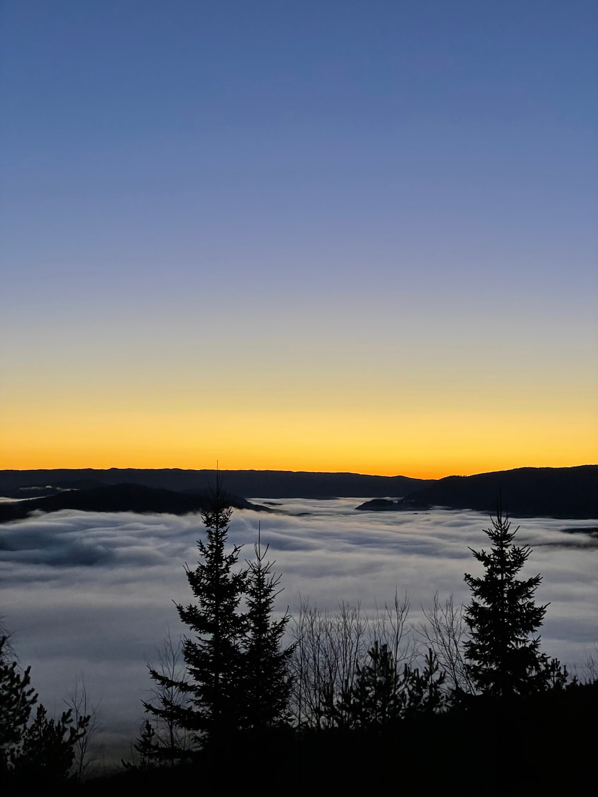 The image depicts a serene landscape at dusk, with a gradient sky transitioning from deep blue to warm orange. Silhouetted conifer trees are visible in the foreground, while layers of fog blanket the valley below, giving a sense of depth to the horizon.