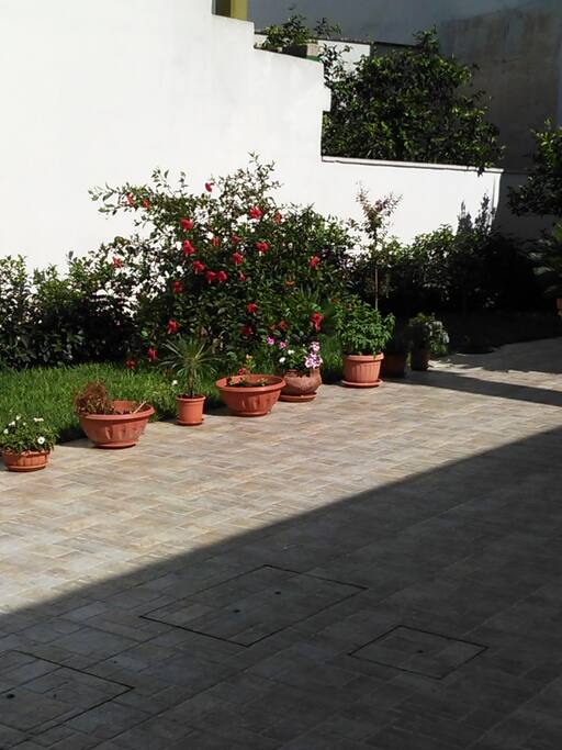 Esterno giardino